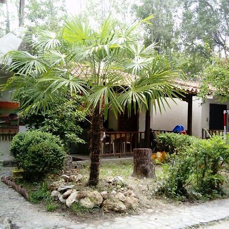 Camping Elizabeth Hotel Kalyvia Varikou ภายนอก รูปภาพ
