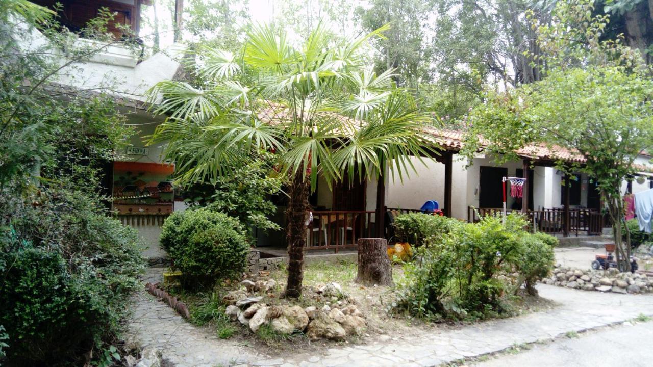 Camping Elizabeth Hotel Kalyvia Varikou ภายนอก รูปภาพ